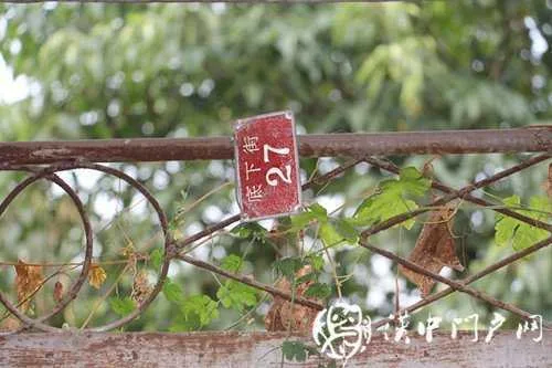 门户君的探寻：汉中1号系列之“底下街”——时光、街与老人