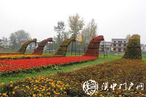“门户君带你游园赏金菊”活动顺利举行