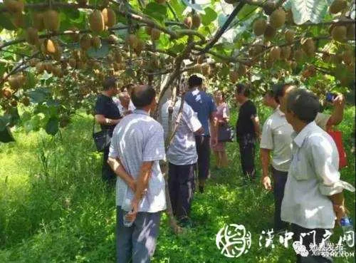 微信图片_20200728092644.jpg