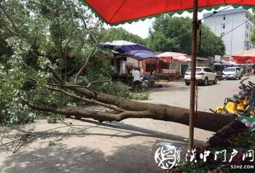 微信图片_20200807091736.jpg