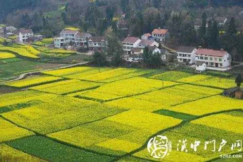 微信图片_20200914085603.jpg