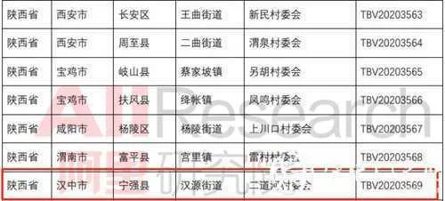 全市唯一！汉中这个村被阿里巴巴点赞！