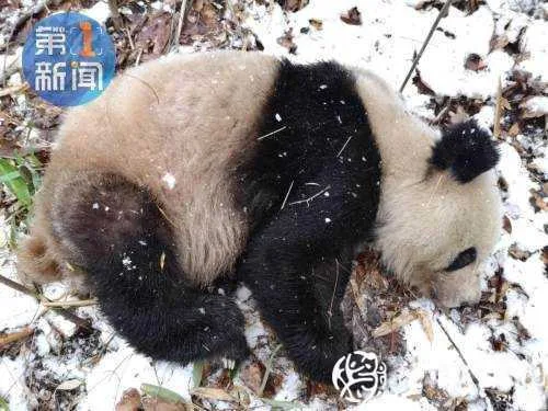 微信图片_20210120090027.jpg