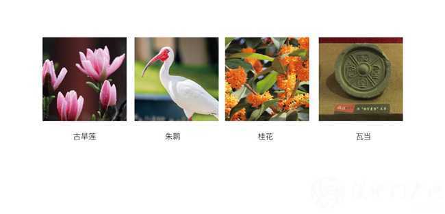 图片8.png