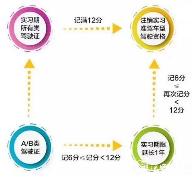 1608168258107235.jpg 图像 025.jpg