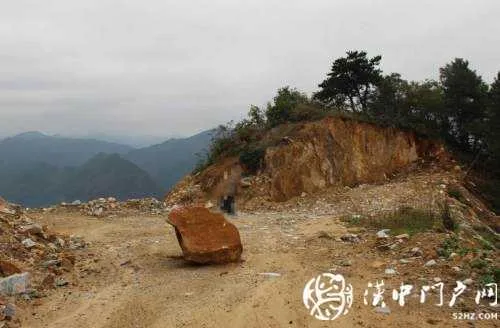 勉县一处林地被破坏，缘何行政机关成为被告？
