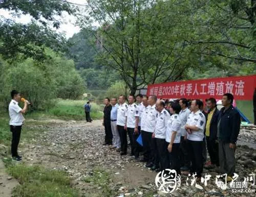 城固向湑水河投放1.5万斤鱼种