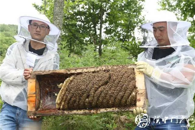 微信图片_20210525163635.jpg