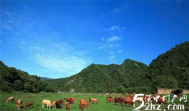 留坝开始全面探寻康养，旅居