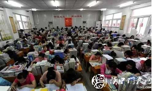 图像 197.jpg