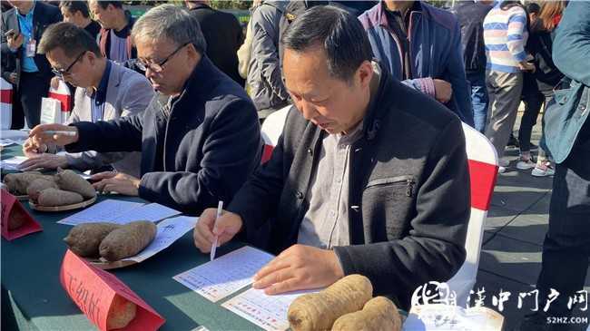 宁强县举行2020天麻美食节暨“麻王”大赛活动