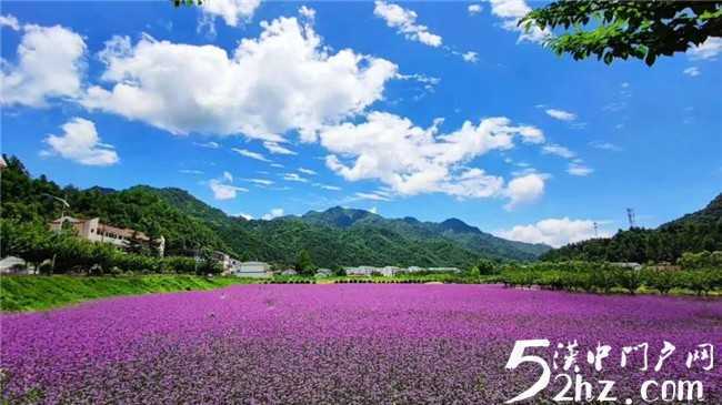 留坝开始全面探寻康养，旅居