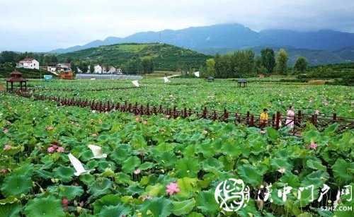 微信图片_20200730093603.jpg