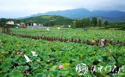 微信图片_20200730093603.jpg