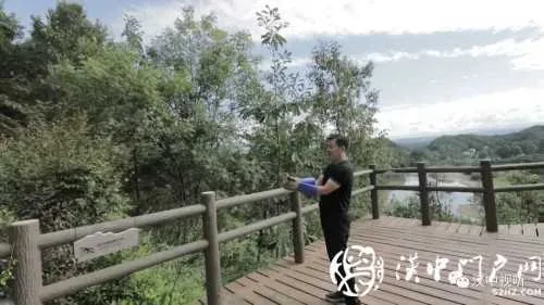 飞翔吧，朋友！城固县放飞一只国家二级保护动物凤头鹰