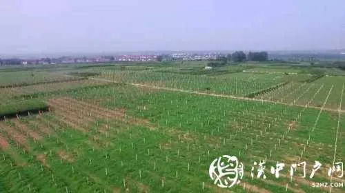 微信图片_20200730093619.jpg