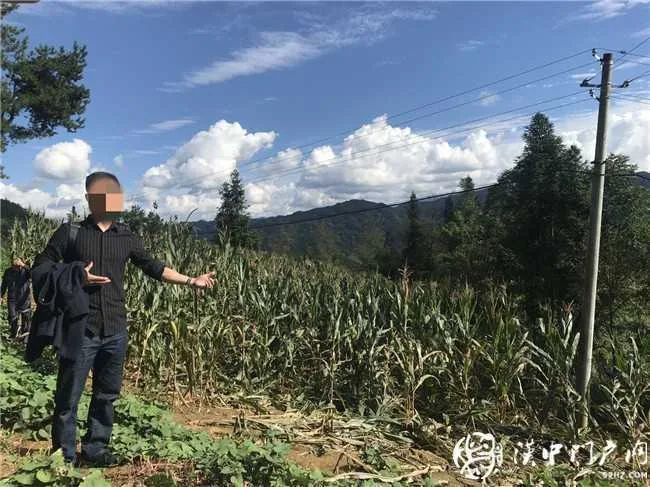 南郑一六旬老人下地干活触电身亡