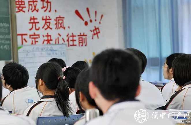 图像 196.jpg