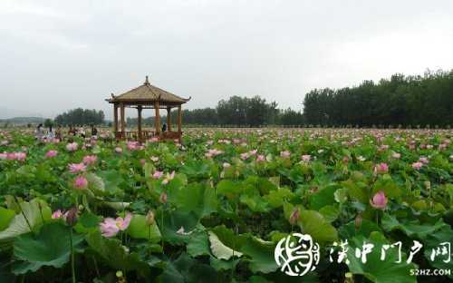 微信图片_20200730093627.jpg