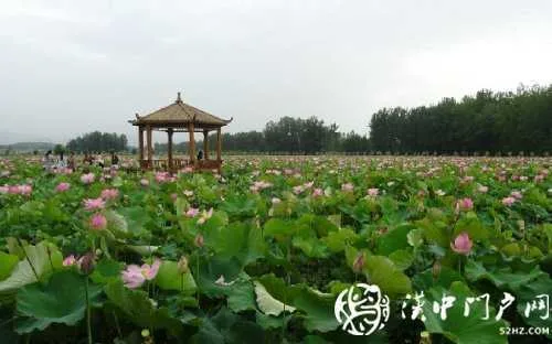 微信图片_20200730093627.jpg
