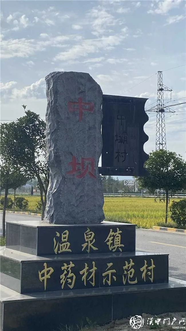 勉县温泉镇中坝社区绘就美丽乡村新画卷
