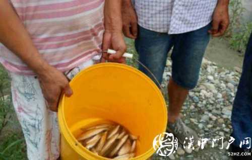 三人在河道非法电鱼，被宁强民警抓个正着