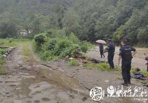 灾后疯牛险伤人，略阳公安一枪击毙