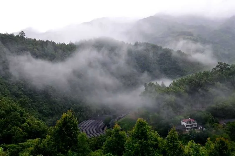 陕西宁强县：雨后的太阳岭如诗如画如仙境