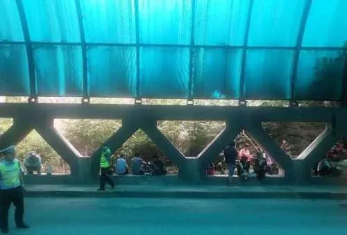 1594259620280395.jpg 微信图片_20200709095119.jpg