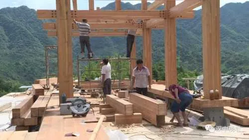 1594260219993732.jpg 微信图片_20200709100201.jpg