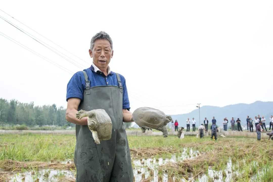 累计减贫78799人！看南郑是怎么做到的...