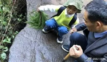 这届孩子太优秀！继发现恐龙脚印后，陕西一小学生又发现了…