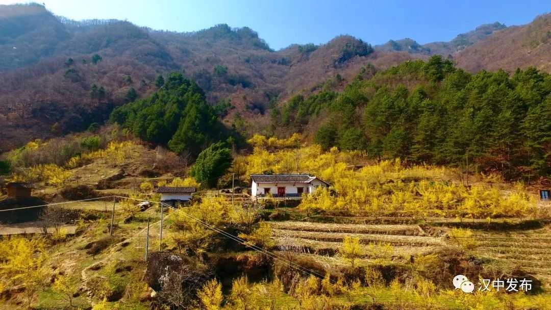 “金窝窝”“银窝窝”不如这里的“沙窝窝”