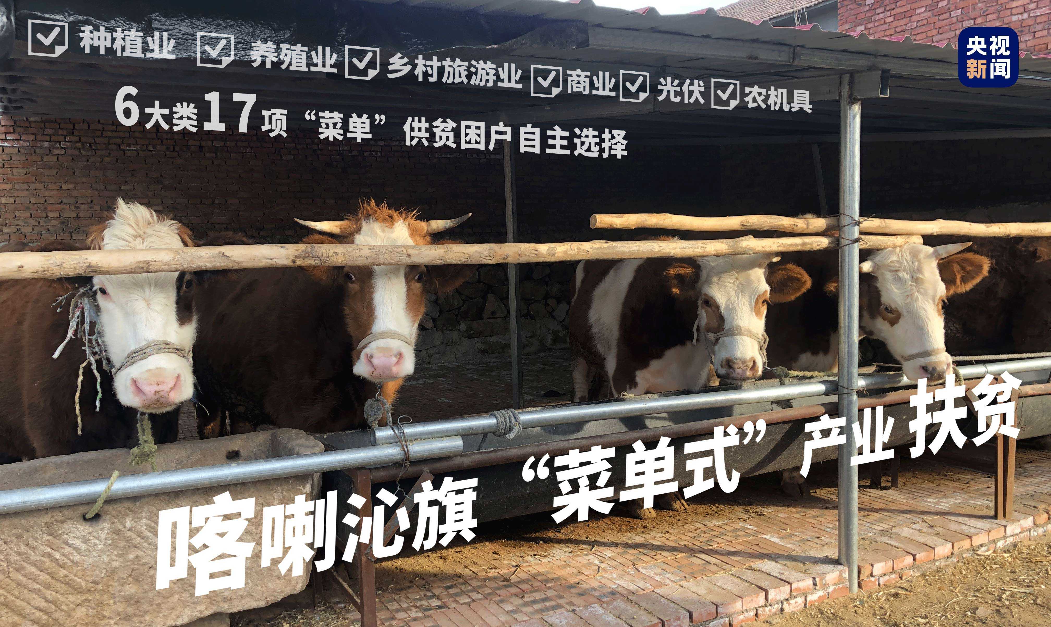 向总书记报告丨金鞍跃马好扬鞭