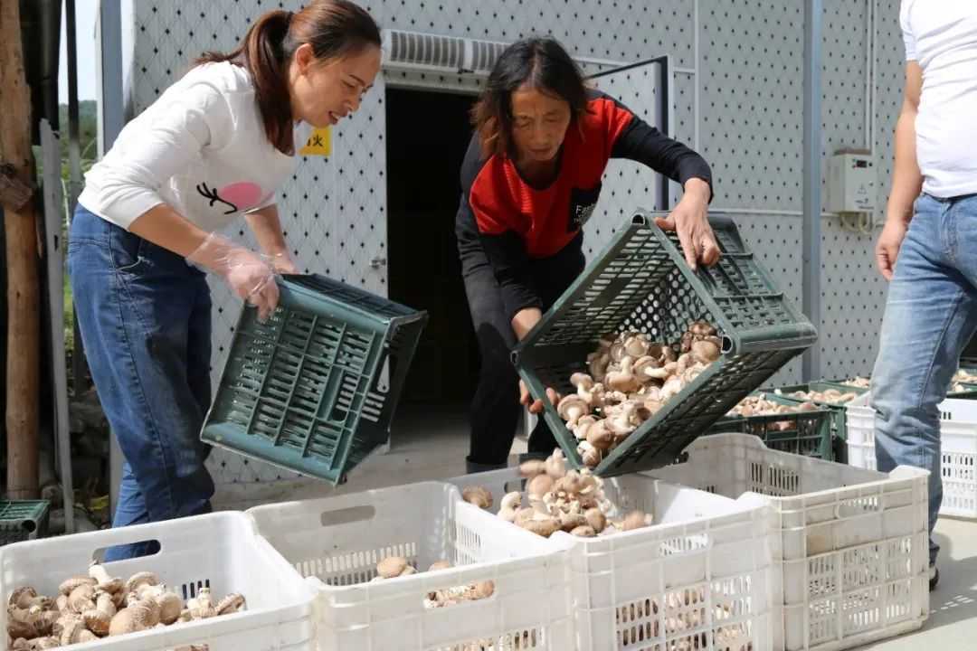 全市唯一，国家授牌