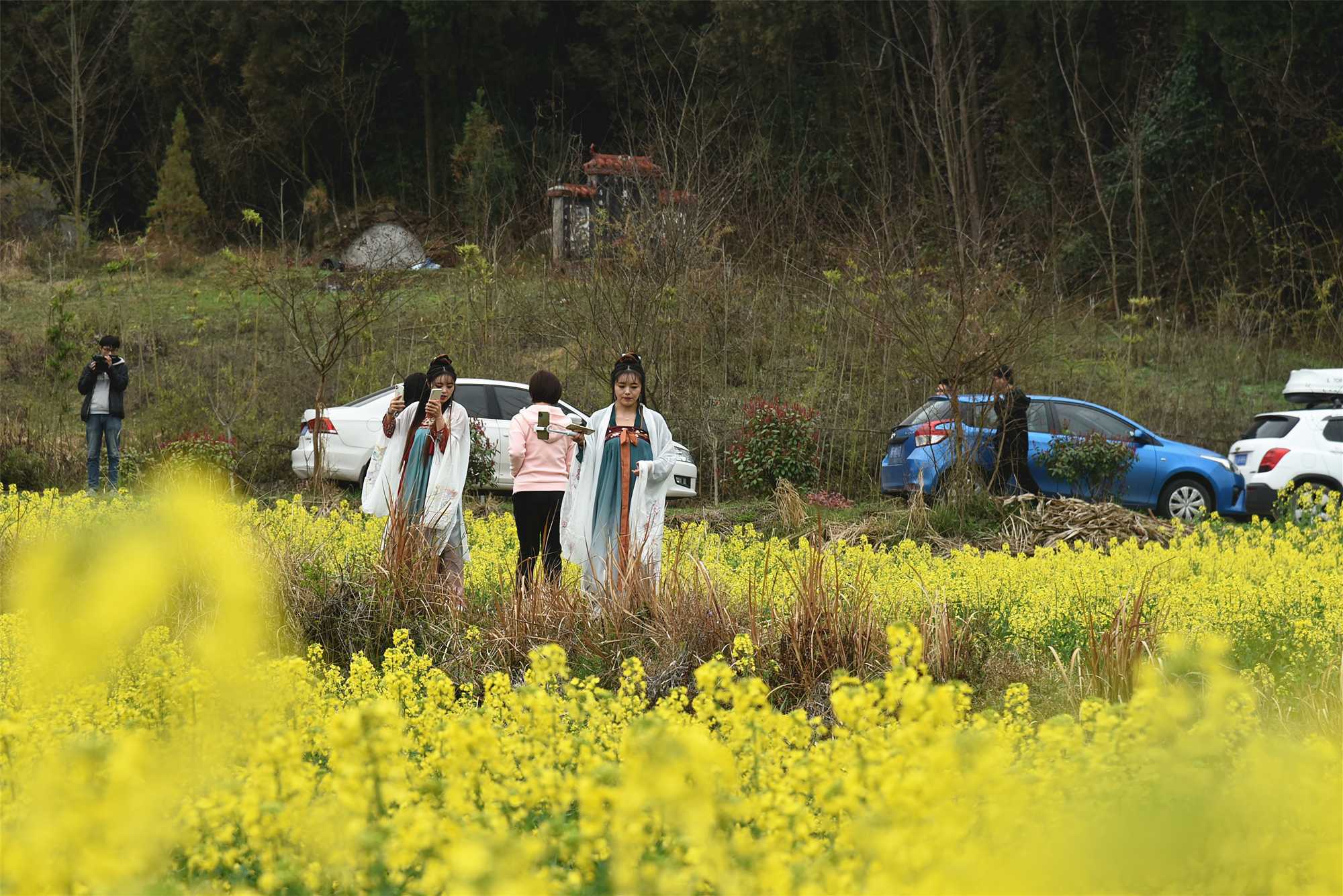 “2021中国最美油菜花海·汉中旅游文化节”南郑分会场启幕