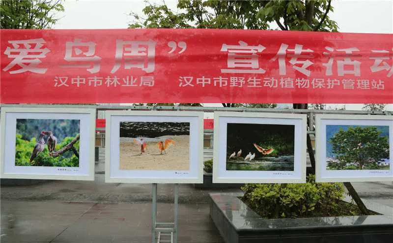 1618115809436342.jpg 微信图片_20210411122142.jpg