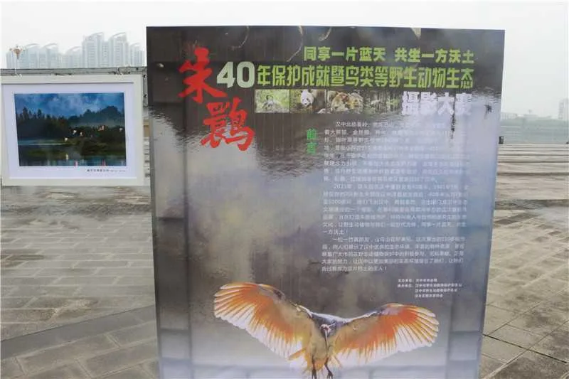 1618115905805425.jpg 微信图片_20210411122328.jpg