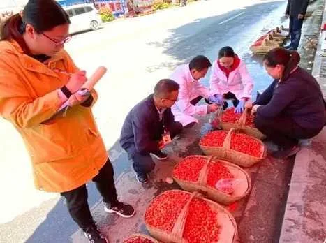 樱桃有农药残留吗？西乡县市监局抽检合格率达100%