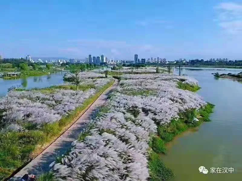 1624598988612987.jpg 微信图片_20210625131228.jpg