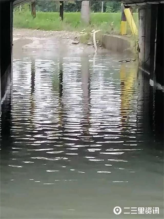 1630547581548224.jpg 桥洞8.jpg