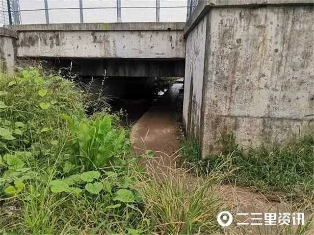 1630547755224238.jpg 桥洞11.jpg