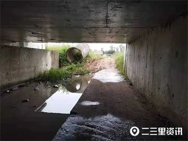 1630547793727108.jpg 桥洞12.jpg
