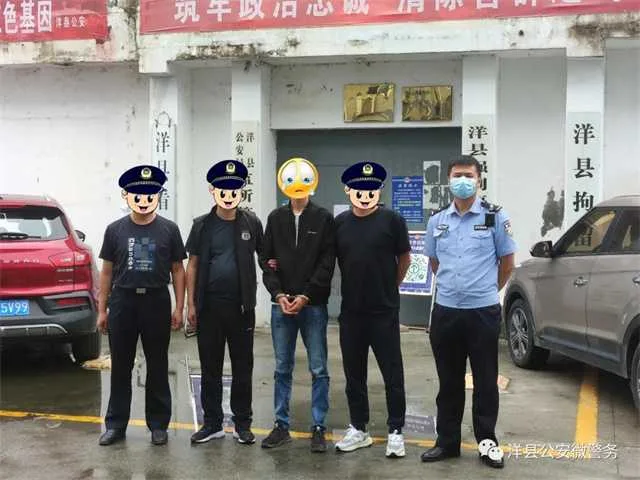 1631151022810675.jpg 洋县偷牛.jpg