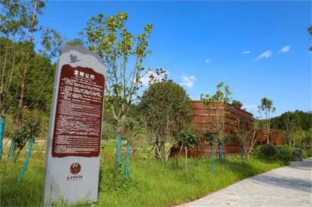 1631666970140468.jpg 朱鹮救助3.jpg