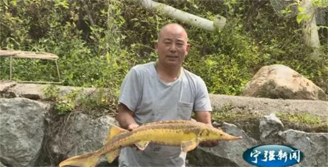 1631667534101709.jpg 致富1.jpg