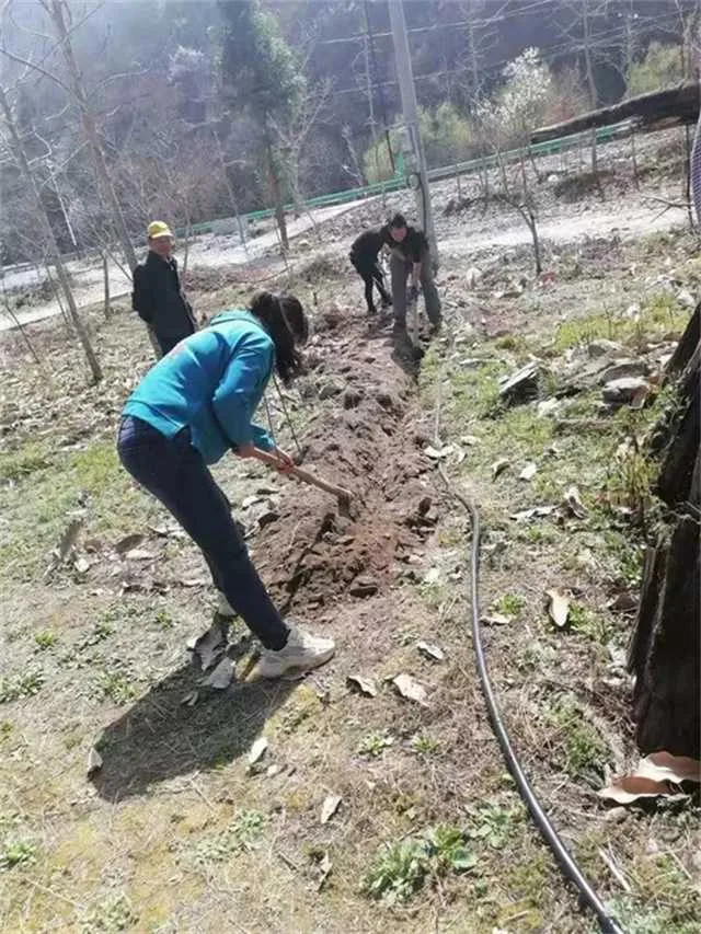 1631839706181637.jpg 微信图片_20210917084713.jpg