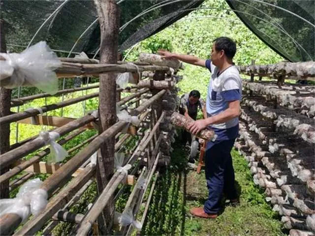 1631839758100664.jpg 微信图片_20210917084724.jpg