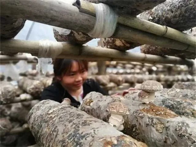 1631839794112459.jpg 微信图片_20210917084707.jpg