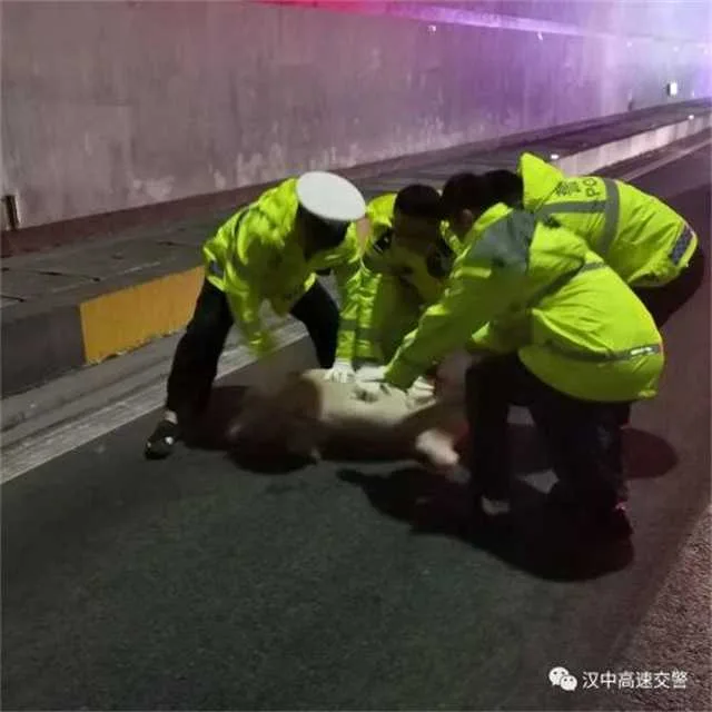 1632623055948979.jpg 车祸.jpg